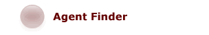 Agent Finder